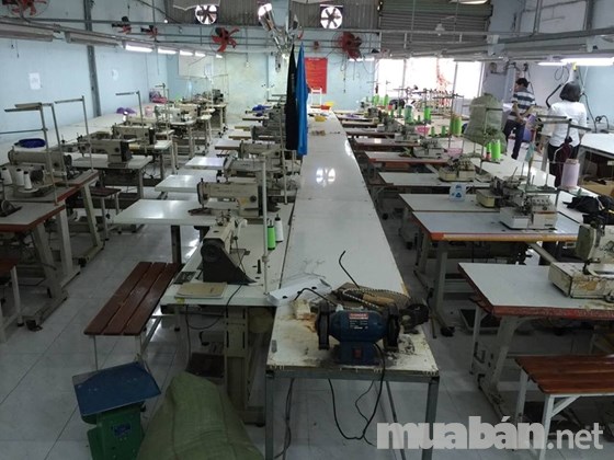 Sang gấp xưởng may hàng thun 250m2 có sẵn 40 máy may ở KCN Vĩnh Lộc Quận Bình Tân